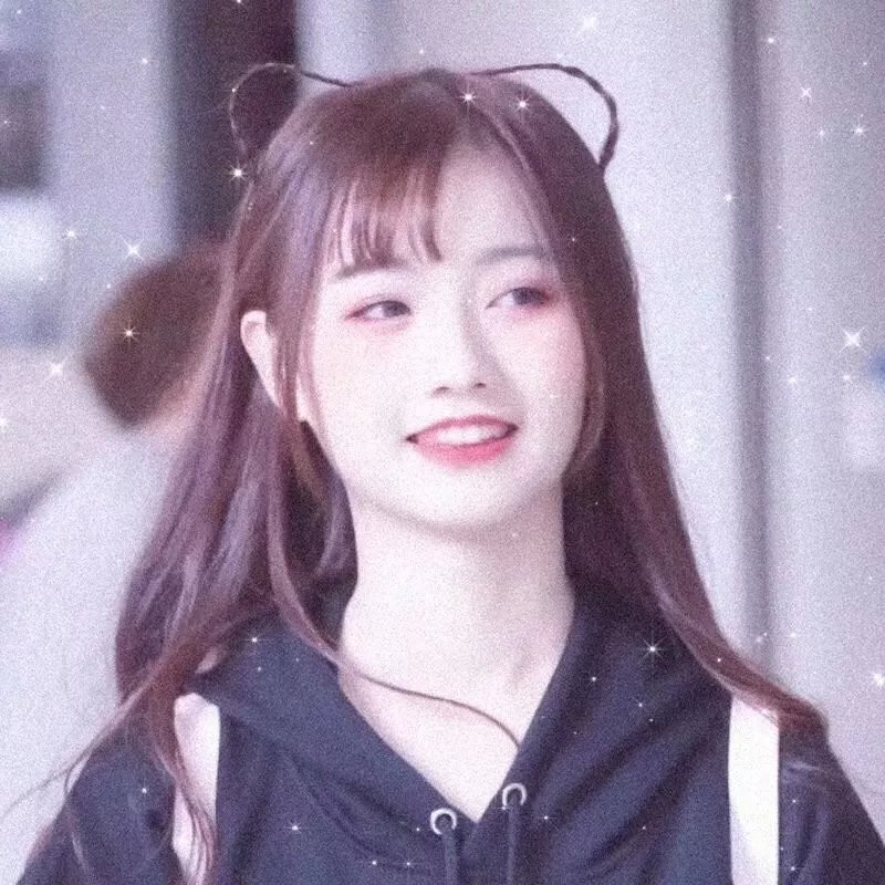 生命骑士